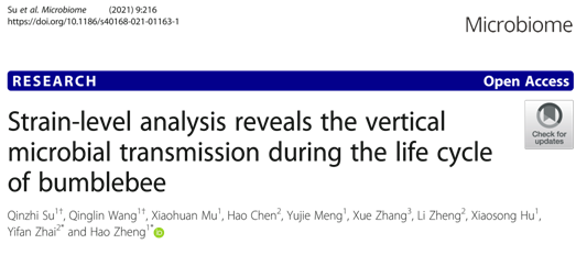 山东省农业科学院自然科学研究的前沿探索与实践