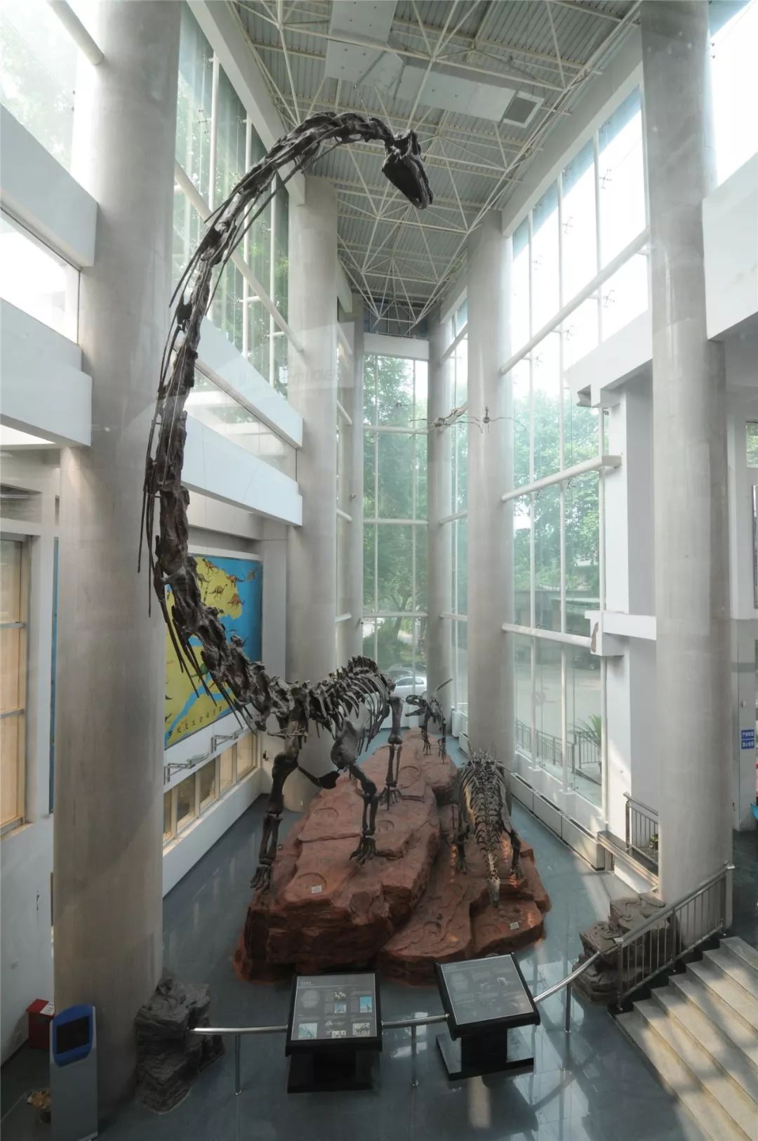 北京东路39号、鸡鸣寺旁, 邂逅比千年古寺还&ldquo;老&rdquo;的古生物们